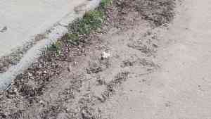 Vecinos reclaman la falta de limpieza en las calles de un barrio de Roca