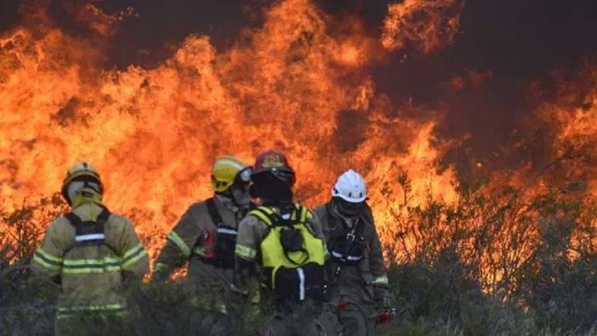 El incendio se desató en una zona rural, cercana a Puerto Madryn. Foto: Gentileza LU17. 