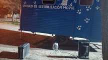 Imagen de Robaron en el quirófano móvil municipal y uno de los delincuentes fue detenido, en Roca