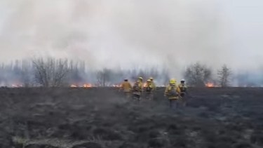 El incendio ocurrió durante esta tarde en Cinco Saltos. Foto: Gentileza.