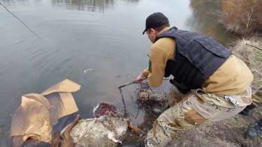 La policía logró rescatar los restos del animal de un curso de agua. foto: gentileza.