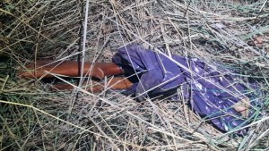 Aparecieron tres armas de fuego en una bolsa en Conesa y desató una investigación