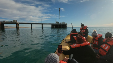 En Las Grutas y el Puerto San Antonio Este en invierno hay avistaje embarcado. Las ballenas que se ven ingresan a fines de julio
