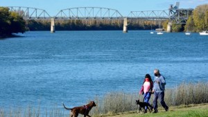 13 tips para reducir el colesterol alto