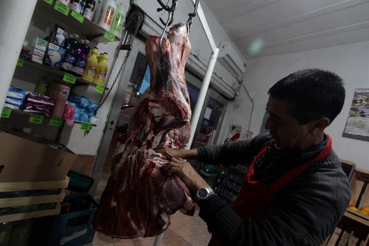 Precios inciertos y avivadas de los proveedores: el nuevo 2 x 1 de las carnicerías en Neuquén. Foto: Oscar Livera