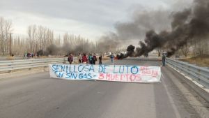 Levantaron el corte sobre Ruta 22, en Senillosa: el bloqueo fue por tres muertes en un incendio