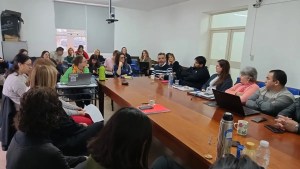 En Viedma el Consejo Directivo del Curza avaló la Tecnicatura Universitaria en Gestión Cultural