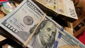 Economistas consideran elevado el valor del dólar blue: ¿a cuánto cerró este jueves?