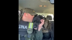 Video: «Feliz retiro compañera», la emotiva despedida de Gendarmería a la perra Pequi