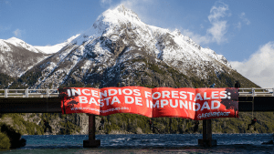 Bariloche: Greenpeace reclamó por el cese de los incendios forestales
