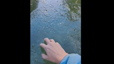 Una fuente de agua se congeló en medio de la alerta por frío extremo en Neuquén