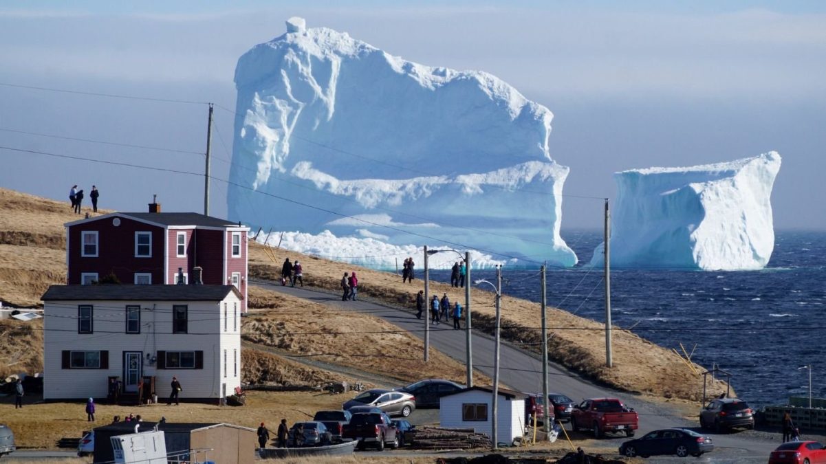 Apareció un iceberg gigante en la isla de Terranova.