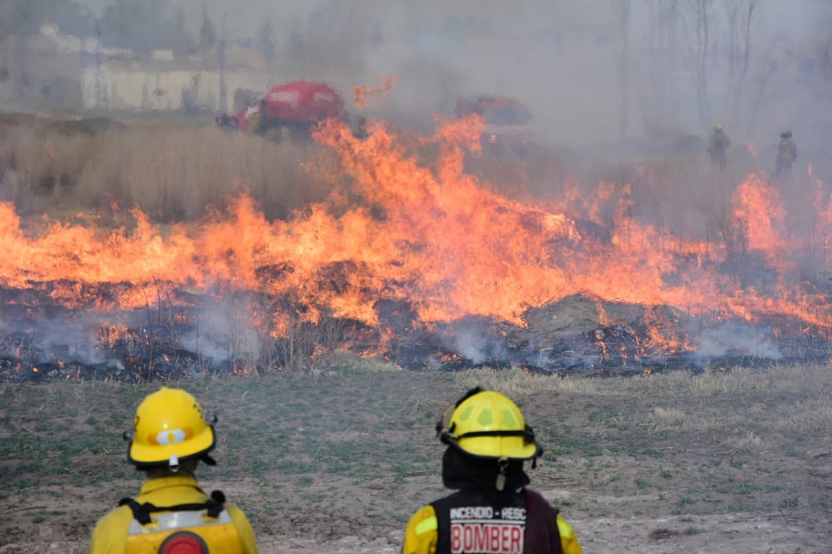 Los bomberos realizaron cortafuegos como medida preventiva para evitar la propagación del incendio. (Foto: Andrés Maripe)