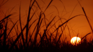 Decretaron feriado en Irán por «calor sin precedente»: estas fueron las temperaturas