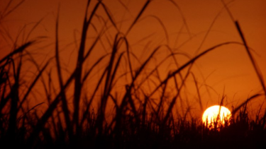 Por la ola de calor, no trabajarán por dos días en Irán. Foto: Reuters/Morteza Nikoubazl MN/DL/File Photo Dubái
