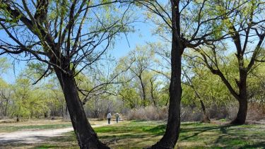En el jardín Botánico de Plottier se promueve la conservación de las plantas nativas. Investigadores de la Universidad de Flores han colaborado. Foto: Florencia Salto