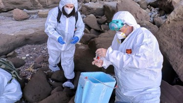 La toma de muestras se realizó en la reserva de Punta Bermeja, Foto: gentileza/SAyCC.