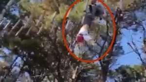 Así fue el rescate de una nena de 12 años que quedó colgada en un parque de Mar del Plata