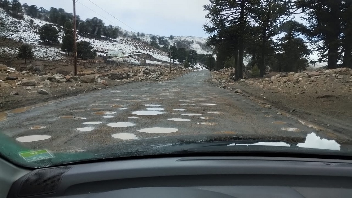 El peligro de circular por rutas rodeadas de bellezas, la contradicción de Moquehue. Foto: Gentileza