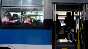 Balotaje 2023: habrá colectivos gratis para ir a votar el domingo 19 de noviembre en Neuquén