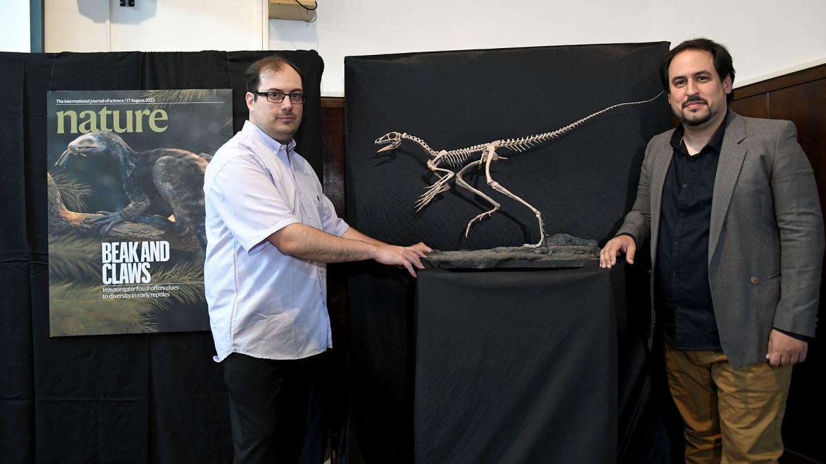 Los científicos Martín Ezcurra y Federico Agnolin, junto a una réplica del Venetoraptor a tamaño reall. (Foto Nacho Sánchez).