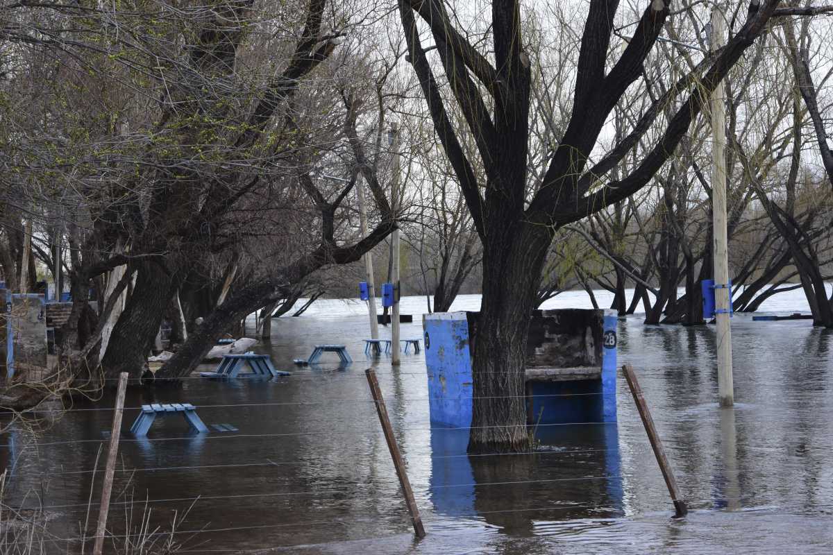 Inundaciones en la costa del río Negro por la crecida de los ríos. Fotos: Alejandro Carnevale.