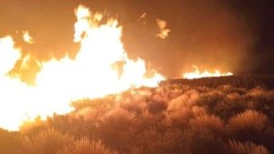 Incendio forestal en Zapala: tras siete horas se logró controlar el fuego