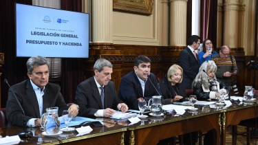 La Ley de Alquileres sigue su camino hacia la reforma. Foto:  Juan Carlos Cardenas / Comunicacion Senado.