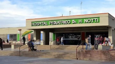 Una mamá y su beba internadas por el ataque de un perro dogo en Mendoza