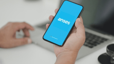 A través de la aplicación Mi Anses se puede acceder al nuevo IFE. Archivo.