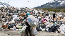 Imagen de Recicladores de Bariloche, 20 años de trabajo en la recuperación de los residuos