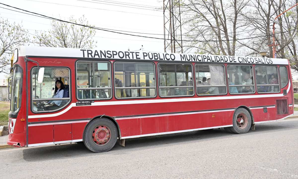 Se restablece el servicio de transporte urbano en Cinco Saltos. Foto: archivo (Florencia Salto)