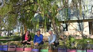 Maipué celebra sus 40 años de labor comunitaria