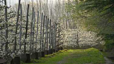 Diario RIO NEGRO – Lo que publicamos: Aumentos en la producción neuquina