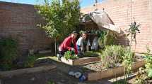 Imagen de En Cipolletti se fomenta la agricultura urbana