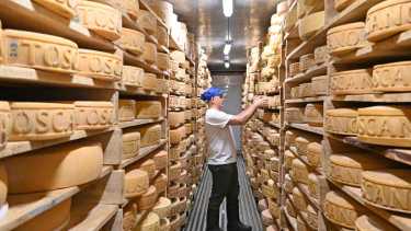 Artesanal. El trabajo en la quesería es minucioso, y el proceso incluye procesos de maduración de hasta 3 años. Foto: Florencia Salto.