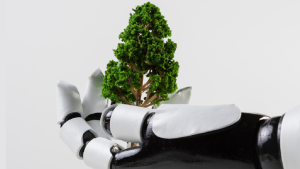 Tres ejemplos de cómo la inteligencia artificial puede ser una aliada para proteger el ambiente