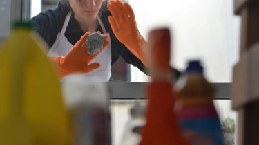 Las empleadas domésticas registradas podrán percibir un bono proporcional a sus horas de trabajo.-