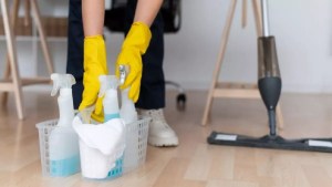 Empleadas domésticas: Cuánto cobro del bono en septiembre 2023, según las horas de trabajo