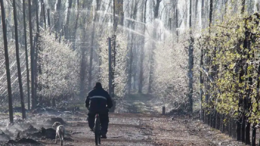Temperaturas bajo cero en primavera. 
