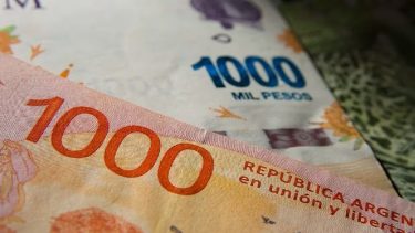 Leliqs: una oportunidad, según Elisabet Bacigalupo.