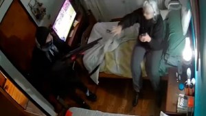 Entraron a la casa de una jubilada de La Plata, la golpearon y le balearon el perro