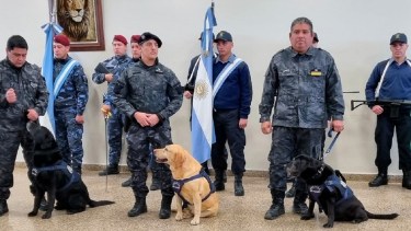 Los animales fueron premiados en un acto este miércoles. Foto: Gentileza.