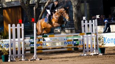 El joven de 14 años participará de su primera competencia internacional de salto hípico. (Foto: Gentileza).