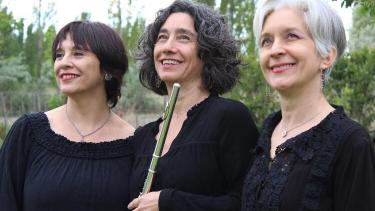 Este viernes en Casa de la Cultura: música de cámara tocada “De a Tres”