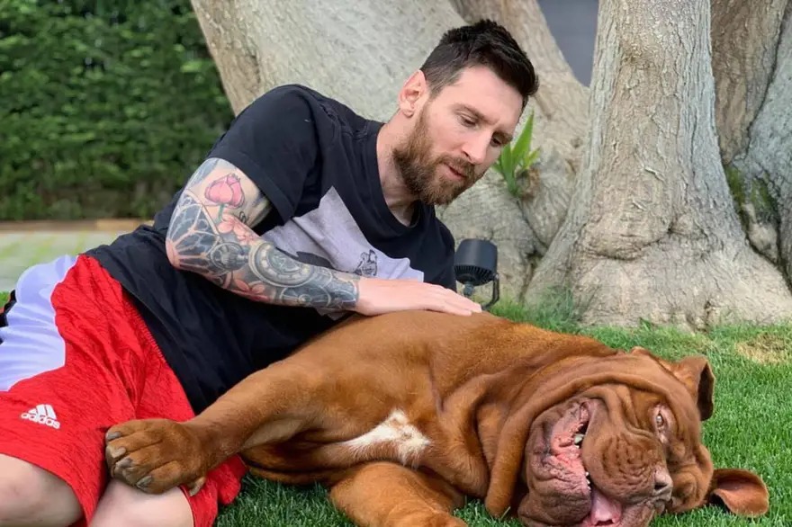 Lionel Messi reveló que fue de Hulk, su perro "gigante". Foto: Gentileza. 