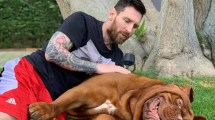 Imagen de Revelaron qué pasó con Hulk, el perro «gigante» de Lionel Messi en Barcelona