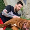 Imagen de Revelaron qué pasó con Hulk, el perro «gigante» de Lionel Messi en Barcelona