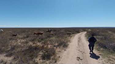 El operativo duró seis días. Foto gentileza