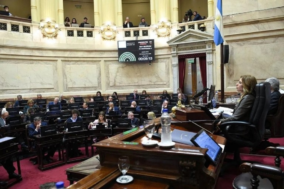 El Senado convirtió en ley este jueves la modificación al Impuesto a las Ganancias. Foto: Gentileza Radio Colonia. 